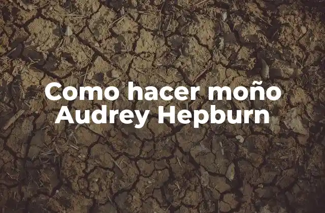 Como Hacer Moño Audrey Hepburn 2 ¿Qué es un moño Audrey Hepburn y para qué sirve?