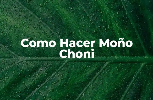 Como Hacer Moño Choni 2 Qué es un Moño Choni y Cómo se Usa