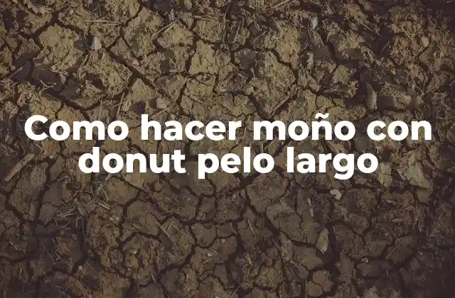 Como Hacer Moño con Donut Pelo Largo