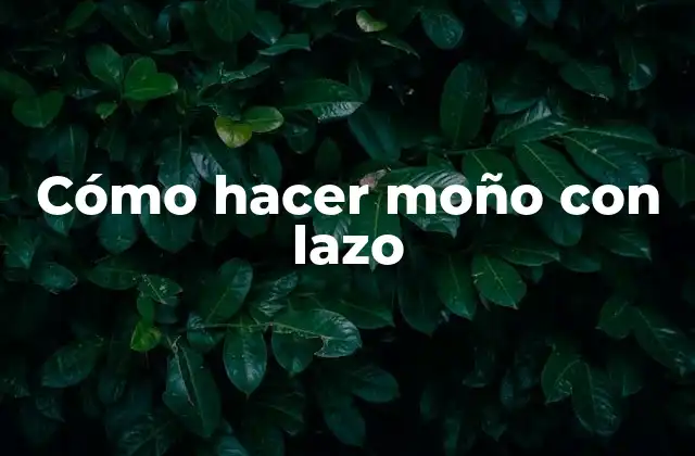 Cómo Hacer Moño con Lazo