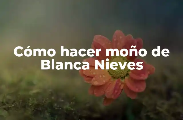 Cómo Hacer Moño de Blanca Nieves