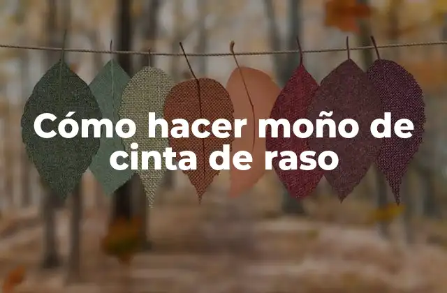 Cómo Hacer Moño de Cinta de Raso