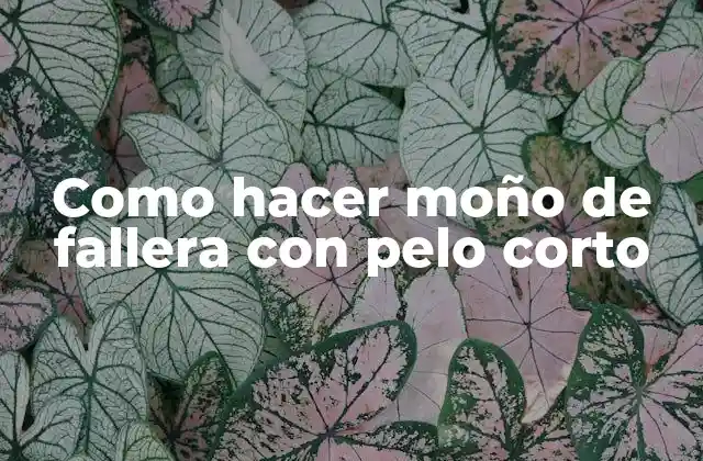 Como Hacer Moño de Fallera con Pelo Corto