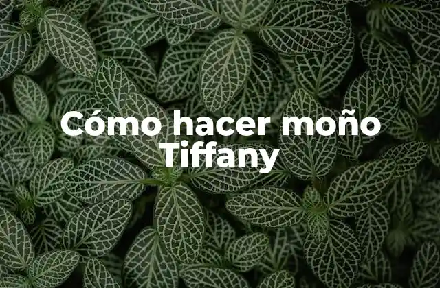 Cómo Hacer Moño Tiffany