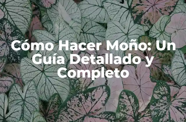 Cómo Hacer Moño: un Guía Detallado y Completo