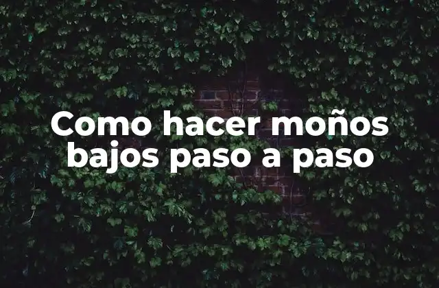 ¿Qué es un moño bajo?