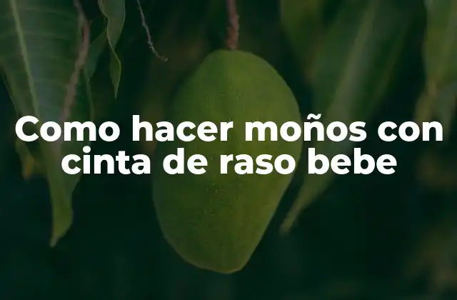 Como Hacer Moños con Cinta de Raso Bebe