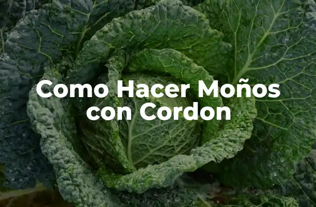 Como Hacer Moños con Cordon