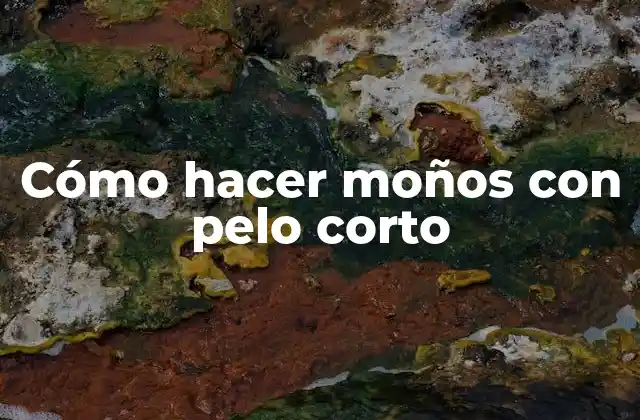 Cómo Hacer Moños con Pelo Corto