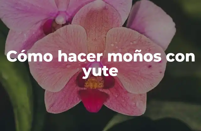 Cómo Hacer Moños con Yute