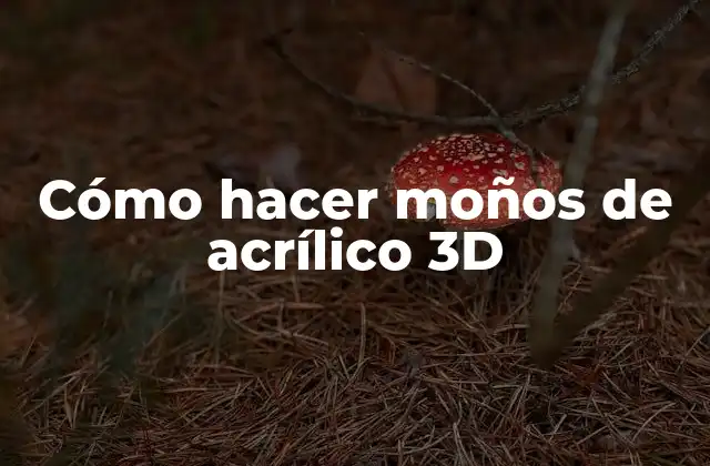 ¿Qué son los moños de acrílico 3D?