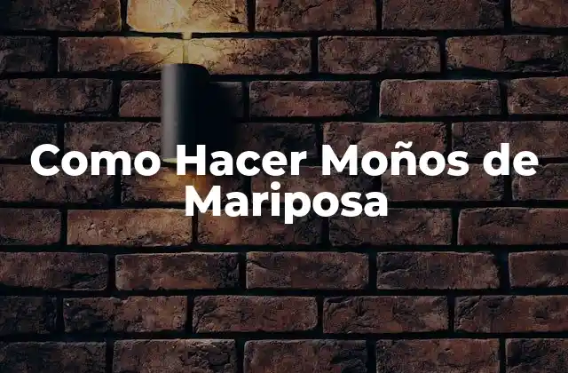 Como Hacer Moños de Mariposa