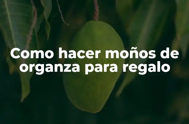 Como Hacer Moños de Organza para Regalo