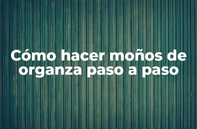 Cómo Hacer Moños de Organza Paso a Paso