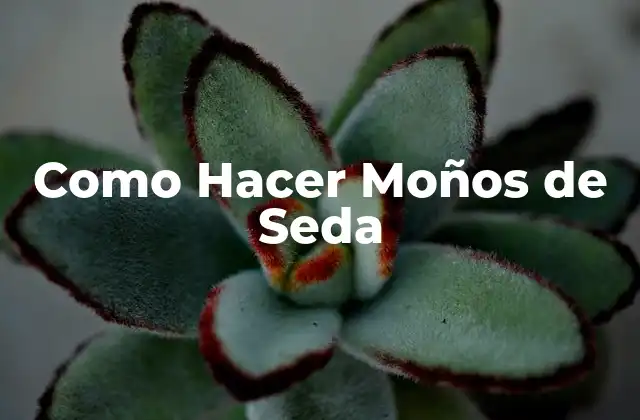 Como Hacer Moños de Seda