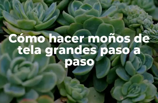 Cómo Hacer Moños de Tela Grandes Paso a Paso 2 ¿Qué son los moños de tela grandes?