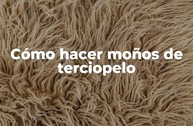 Cómo Hacer Moños de Terciopelo