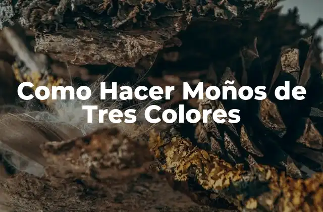 Como Hacer Moños de Tres Colores