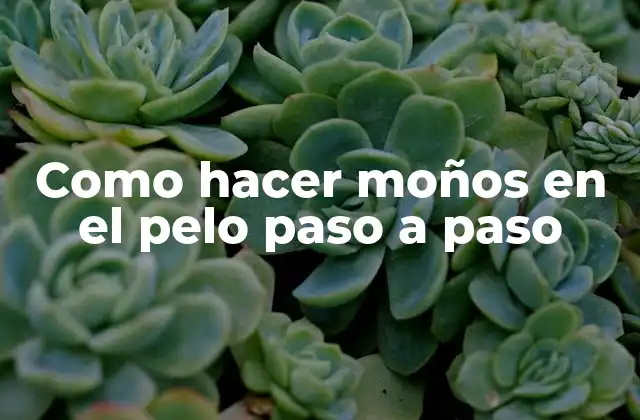 Como hacer moños en el pelo paso a paso