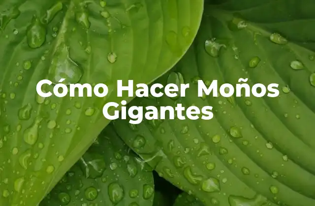 Cómo Hacer Moños Gigantes 2 ¿Qué son los Moños Gigantes y para Qué Sirven?