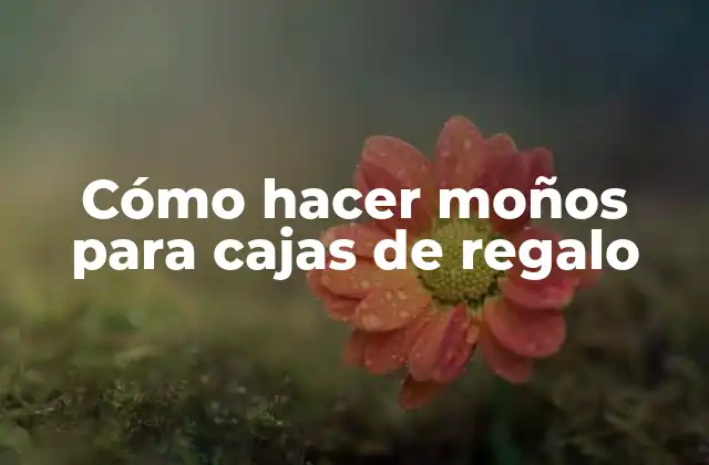 Cómo Hacer Moños para Cajas de Regalo
