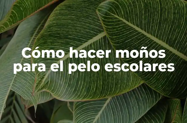 Cómo Hacer Moños para el Pelo Escolares