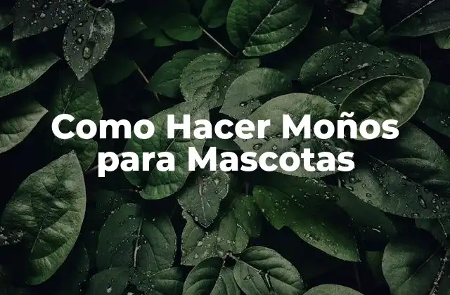 Como Hacer Moños para Mascotas