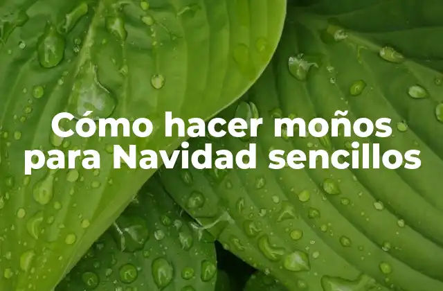 Cómo Hacer Moños para Navidad Sencillos