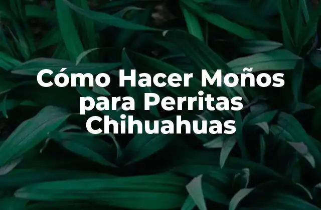Cómo Hacer Moños para Perritas Chihuahuas