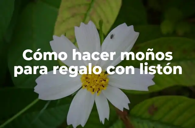Cómo Hacer Moños para Regalo con Listón