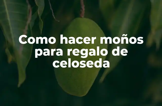 Como Hacer Moños para Regalo de Celoseda