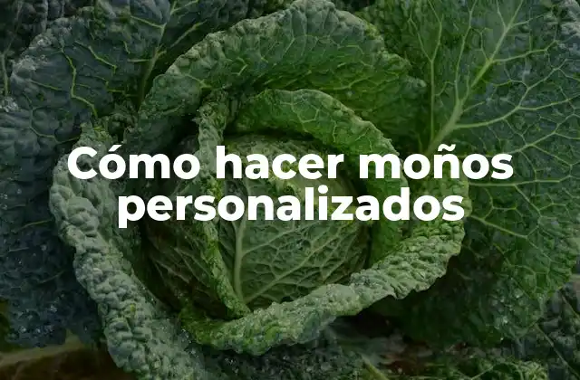 Cómo Hacer Moños Personalizados