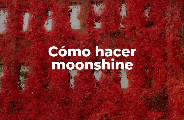 Cómo Hacer Moonshine