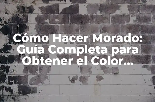Conceptos Básicos del Color Morado