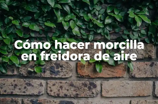 Cómo Hacer Morcilla en Freidora de Aire