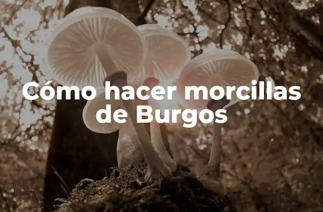 Cómo Hacer Morcillas de Burgos