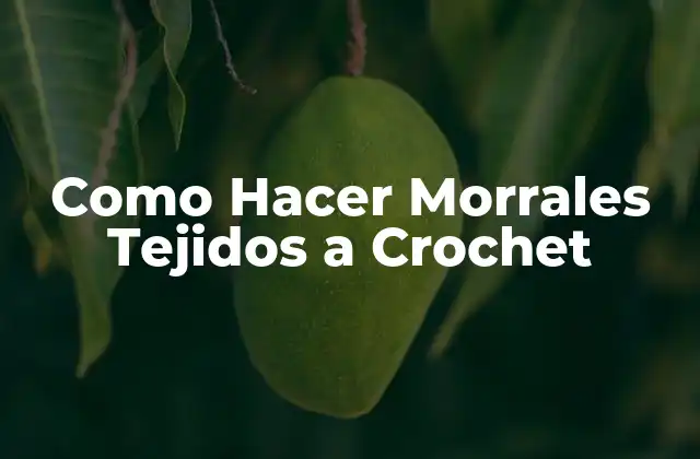Como Hacer Morrales Tejidos a Crochet