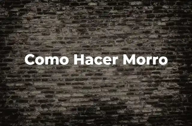 Como Hacer Morro 2 ¿Qué es el Morro y para Qué Sirve?