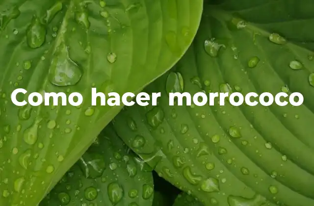 Como Hacer Morrococo