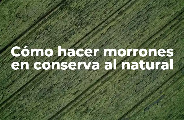 Cómo Hacer Morrones en Conserva Al Natural