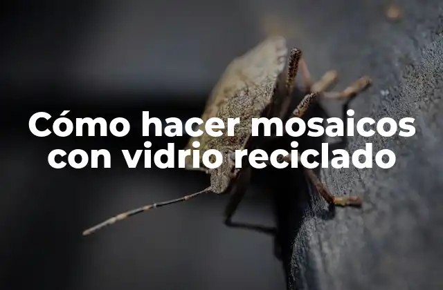Cómo Hacer Mosaicos con Vidrio Reciclado