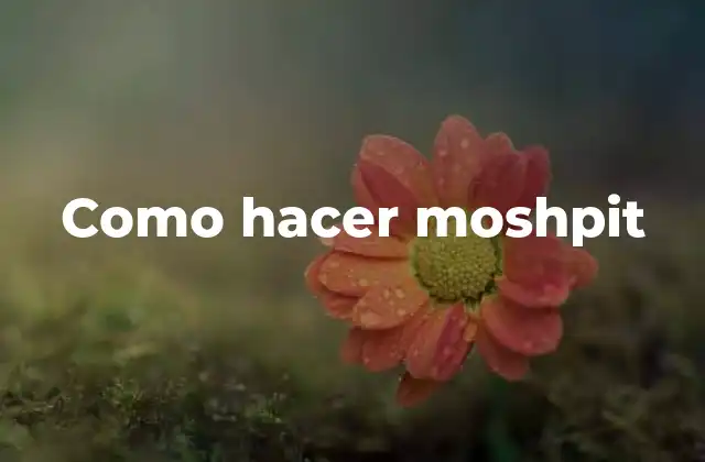 Como Hacer Moshpit