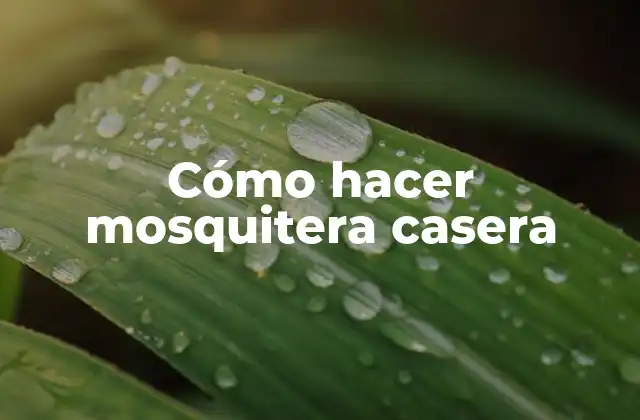 Cómo Hacer Mosquitera Casera 2 Cómo hacer mosquitera casera