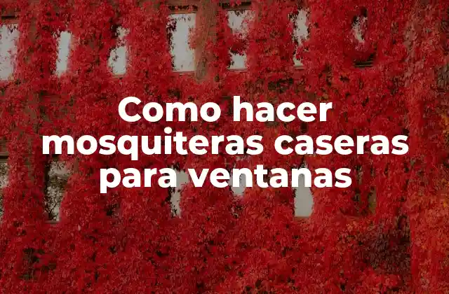Como Hacer Mosquiteras Caseras para Ventanas