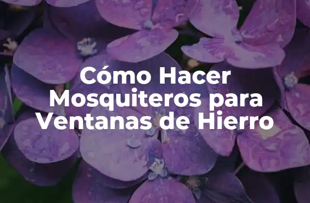 Cómo Hacer Mosquiteros para Ventanas de Hierro