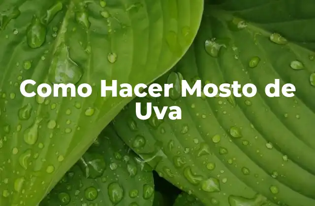Como Hacer Mosto de Uva