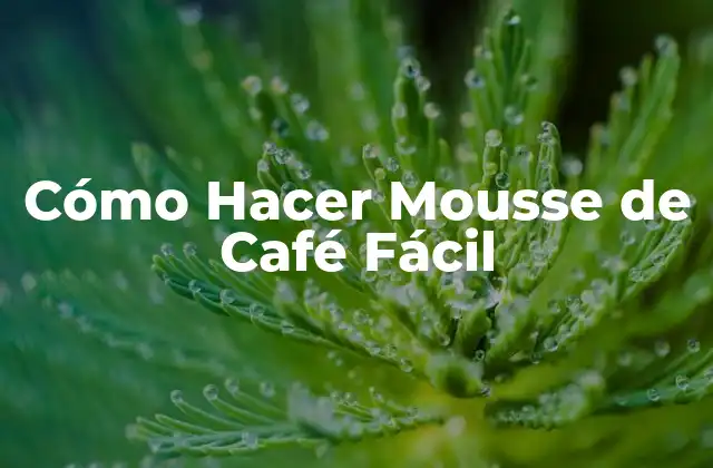 ¿Qué es el Mousse de Café y Para Qué Sirve?