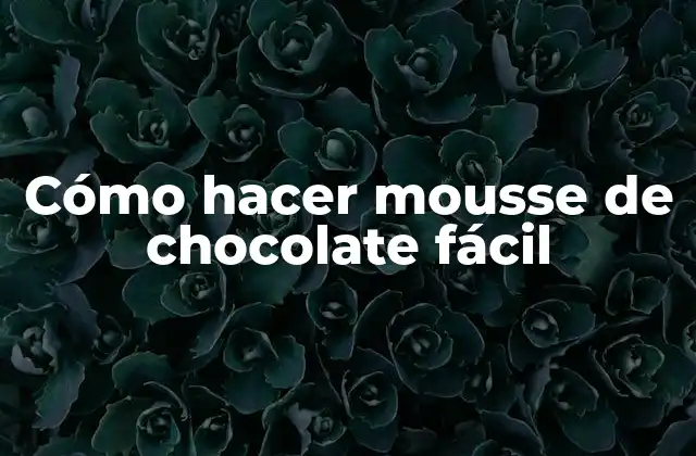 Cómo Hacer Mousse de Chocolate Fácil 2 ¿Qué es el mousse de chocolate fácil y para qué sirve?