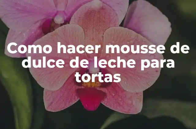 Como Hacer Mousse de Dulce de Leche para Tortas