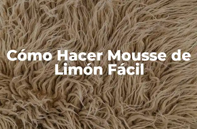 ¿Qué es el Mousse de Limón y para Qué Sirve?